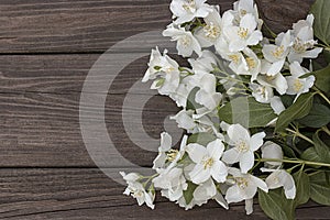 Flowers of jasmine on wooden background