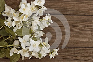 Flowers of jasmine on wooden background