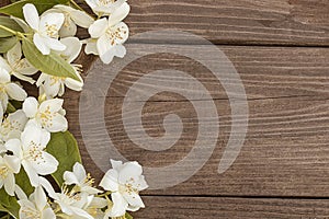 Flowers of jasmine on wooden background