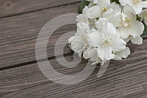 Flowers of jasmine on wooden background