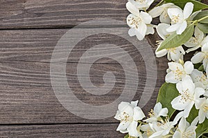 Flowers of jasmine on wooden background