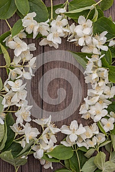 Flowers of jasmine on wooden background