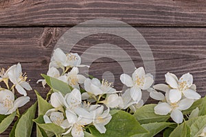 Flowers of jasmine on wooden background