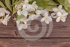 Flowers of jasmine on wooden background