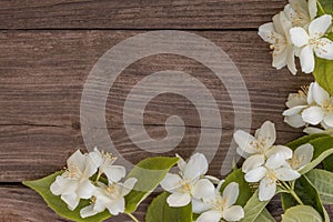 Flowers of jasmine on wooden background