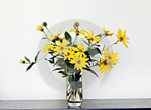 Flowers of Jerusalem artichoke in a vase