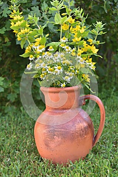Flowers in a jug