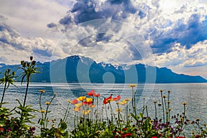 Flowers and Lake Geneva