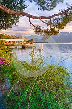 Flowers and Lake Geneva, Switzerland