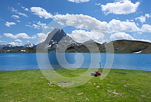 Flowers on Lake Gentau, Lakes of Ayous with Mount Middi d Ossau, Pyrenees National Park.