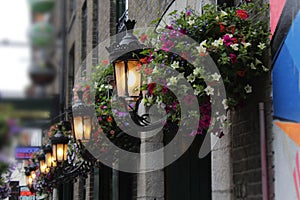 Flowers and Lamps Outside Dublin Pub