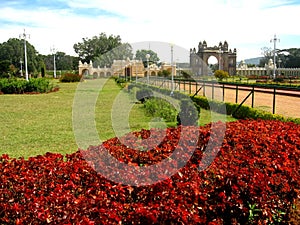 Flowers in landscaped park