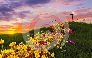 Flowers leading to the cross