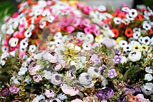 Flowers and leaf Summer background close up