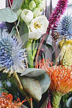 Flowers and leaves