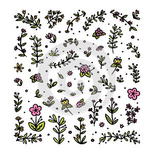 Flowers, leaves and branches elements for ornaments. Decorative floral pattern for various designs. Doodle vector