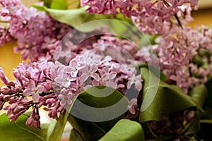 Flowers And Leaves Of Delicate Lilac On A Pink Background In A Light Technical Defocus Of Photography