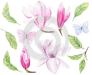 Flowers and leaves hand drawn watercolor raster illustrations set