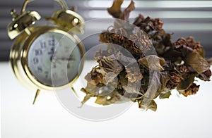 Flowers and leaves are shriveled against the clock and a white b