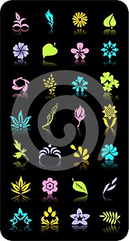 Flowers and leaves. Vector objects.
