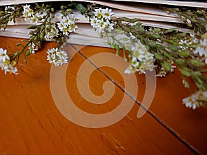 flowers lie in the book, the book lies on the brown boards