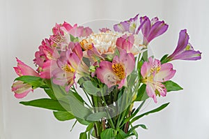 Flowers on a light background