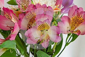 Flowers on a light background