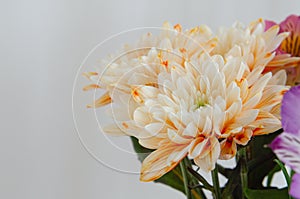 Flowers on a light background