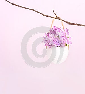 Flowers of  Lilac Syringa in eggshell on  light pink background.  Easter decor
