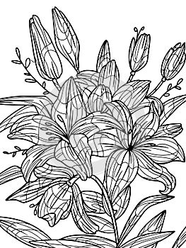 Flowers lilium isolated object. Coloring book antistress for children and adults. Zen-tangle style.