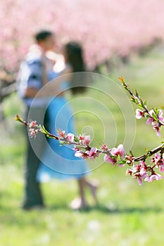 Blumen auf der liebend 