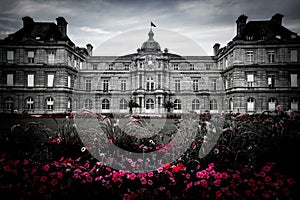 Flowers by the Luxembourg Palace in Selective Color - Paris, France