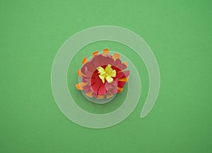 Flowers made of paper. Green background