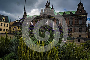 Flowers in the main square of malmoe