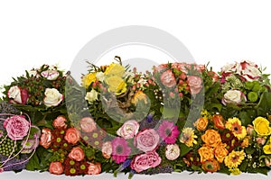 Flowers- many flowers on white background