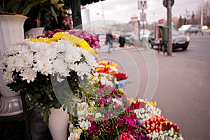 Flowers market