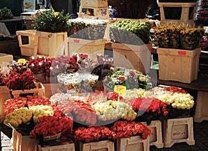 Flowers Market photo