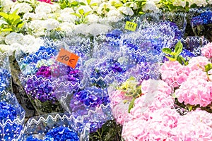 Flowers market on public street - agribusiness and flower shop