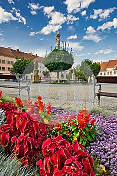 Flowers in Masarykovo namesti square in Vyskov town