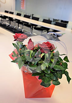Flowers in a meeting room