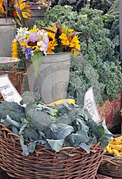 Flowers in Middle of organic Broccoli and Kale at Farmers Market
