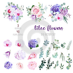 Flowers and mix of greenery big vector collection