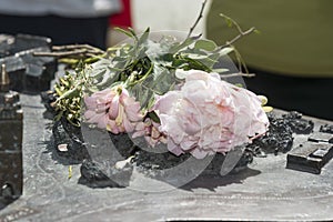 Flowers on a model of Rostock Germany.