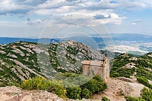 The flowers on the Monserrat photo