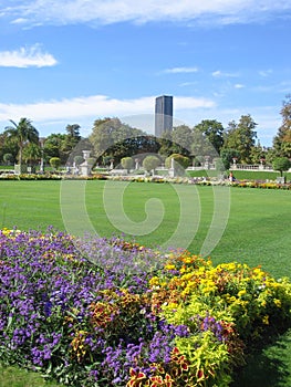 Flowers and Montparnasse Tower