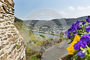 Flowers And Moselle Valley, Germany