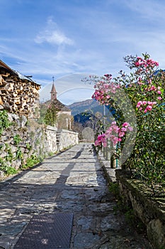 Flowers in mountain village photo