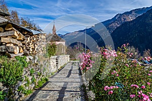 Flowers in mountain village photo