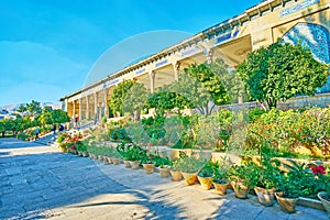 Flowers in Mussala Gardens, Shiraz, Iran