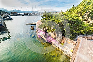 Flowers n Porto Rotondo small harbor